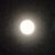 Matthew Koeppen's profile image