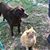 Jennifer Dutton-Toner's profile image