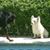 Jeanne Crosbie Falen's profile image