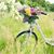 Stacy Edland's profile image