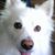 Curtis Tisberger's profile image