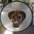 Julie White's profile image