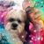 Sheryl Ann's profile image