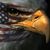 Chris Howell's profile image