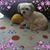 Luci Parent's profile image