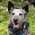 Patryce D. McKinney's profile image