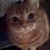 Katie Aldridge Flanagan's profile image