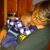 Sarah Sluis's profile image