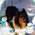 Sharon Tester's profile image