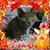 Laura Hernandez's profile image