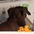 Don Carson's profile image