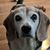 Elizabeth Becker's profile image