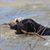 Marty Krupinski's profile image