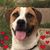 Debra Kraemer Carrasco's profile image