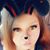 Tina Penland's profile image