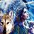 Donna L. Hess Mccann's profile image
