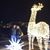 Sherry Vajda White's profile image