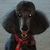 Kathy Huffman's profile image