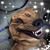 Vickie Travis Vernon's profile image