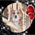 Mindy Wagner's profile image