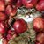 Dan LaHaie's profile image