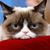 Tricia Nelson's profile image