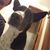 David Corbet's profile image