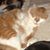 Janet Marie Wolvert Peterson's profile image