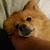 Jennifer Delacruz's profile image