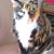 Cindy Kempert's profile image