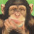 G C's profile image