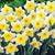 Sandy Grider's profile image