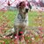 Stephanie Mayer's profile image