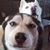 Fred Ackley's profile image