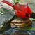 Sherri LaFever's profile image