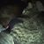 Jennifer Easterwood's profile image