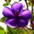 Florence Carlucci's profile image