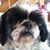 Judy Caricofe's profile image