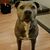 Kathy Snyder Strickland's profile image