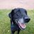 Dianne Ruschy Swanson's profile image