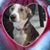 Carole Taitt's profile image