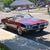 Glenn Yarnell's profile image