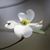 Beverly Dollarhide Harwell's profile image