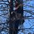Justin Manwaring's profile image