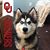 Rae Anne Detwiler-Morgan's profile image