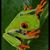 Melissa Sparke's profile image