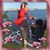 Maribel Mariscal's profile image