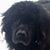 Robert Oberst's profile image