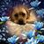 Elizabeth S Freeland's profile image