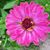 Susan Hall-Martin's profile image